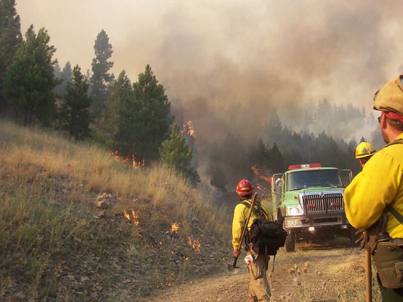 Firefighters in Forest — Green