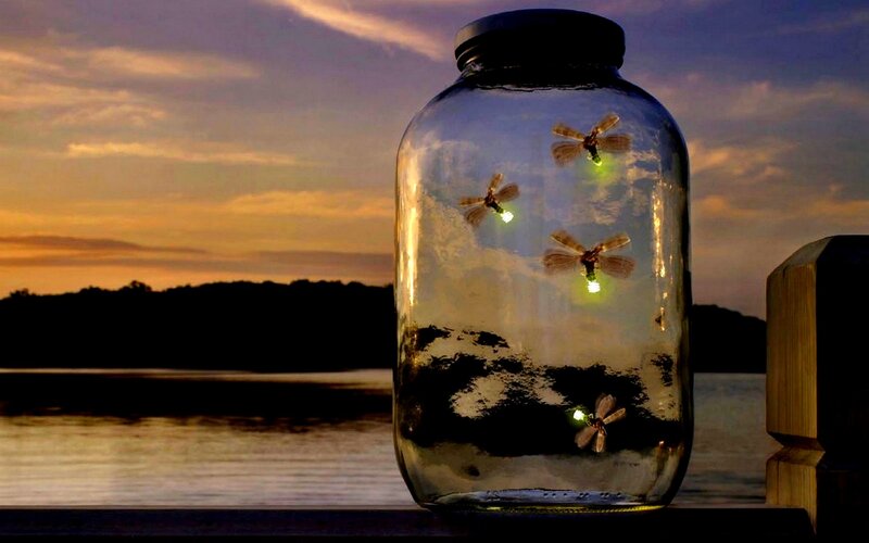 Fireflies in a Jar — Purple
