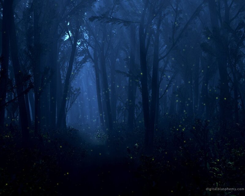 Fireflies in Dark Forest