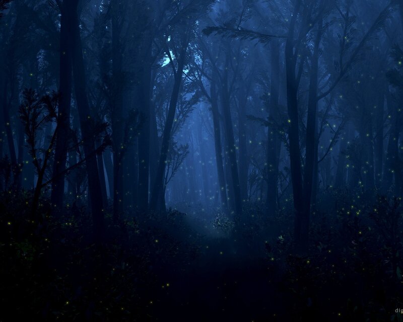 Fireflies in Forest — Blue, Mysterious, Night, Digital Art