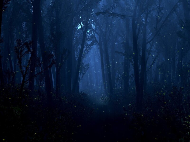 Fireflies in Forest — Blue, Mysterious, Night