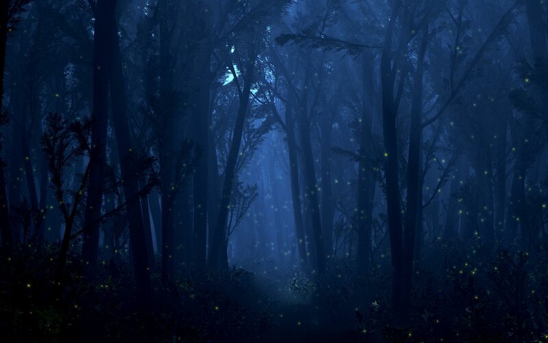 Fireflies in Forest — Blue, Mysterious