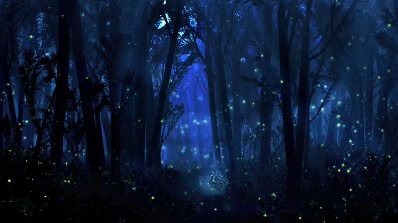 Fireflies in Forest — Blue, Mystical