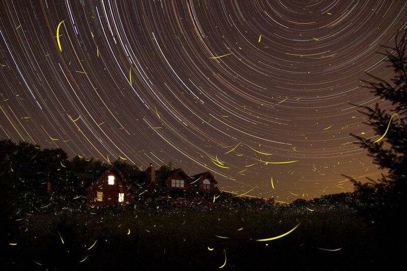 Fireflies over House
