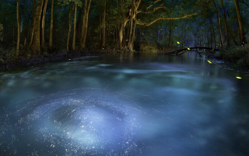 Fireflies over River — Blue