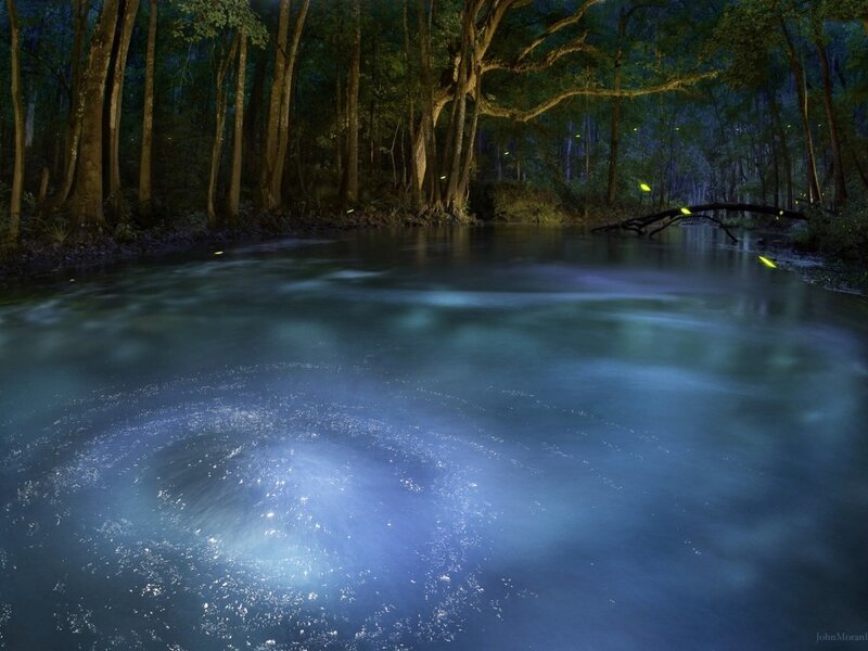 Fireflies over River