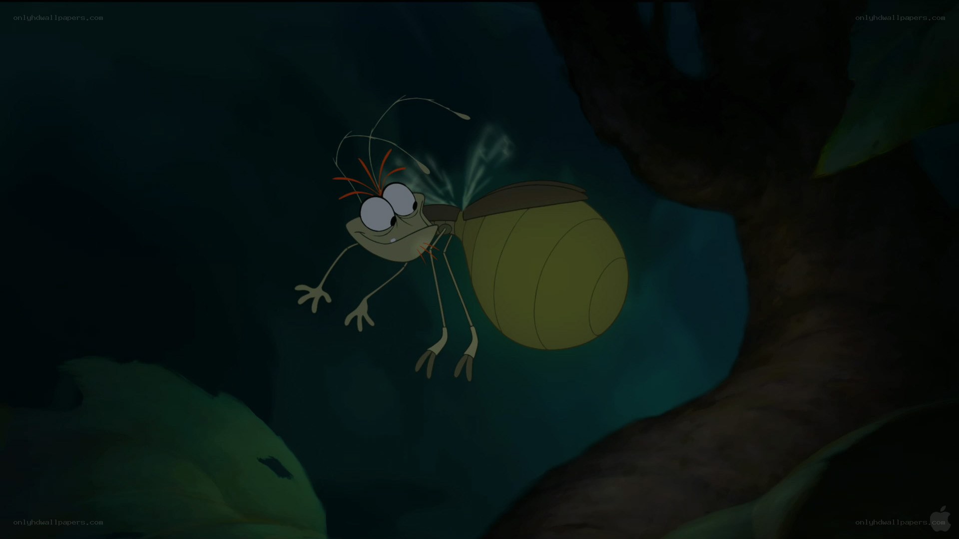 firefly in a dark forest