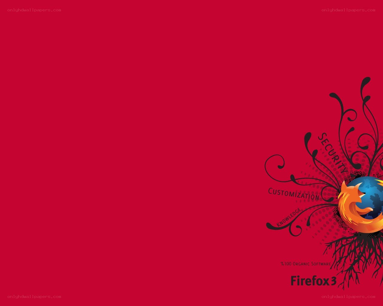 Firefox 3 promotional graphic