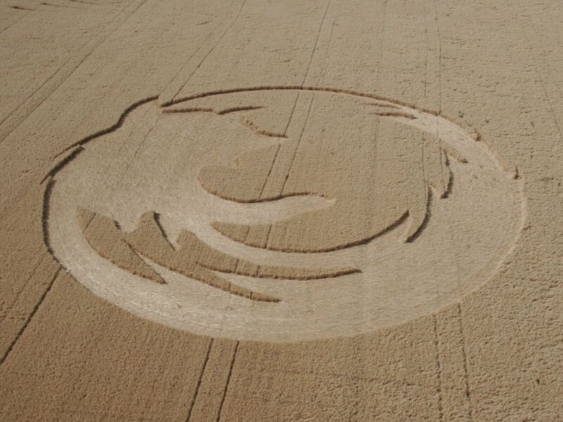 Firefox logo in a crop field