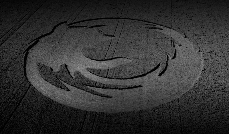 Firefox logo in a field
