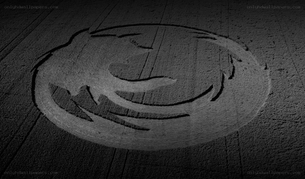 Firefox logo in a field