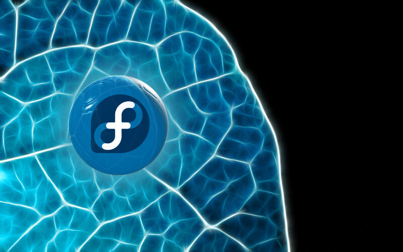 Firefox logo on blue network
