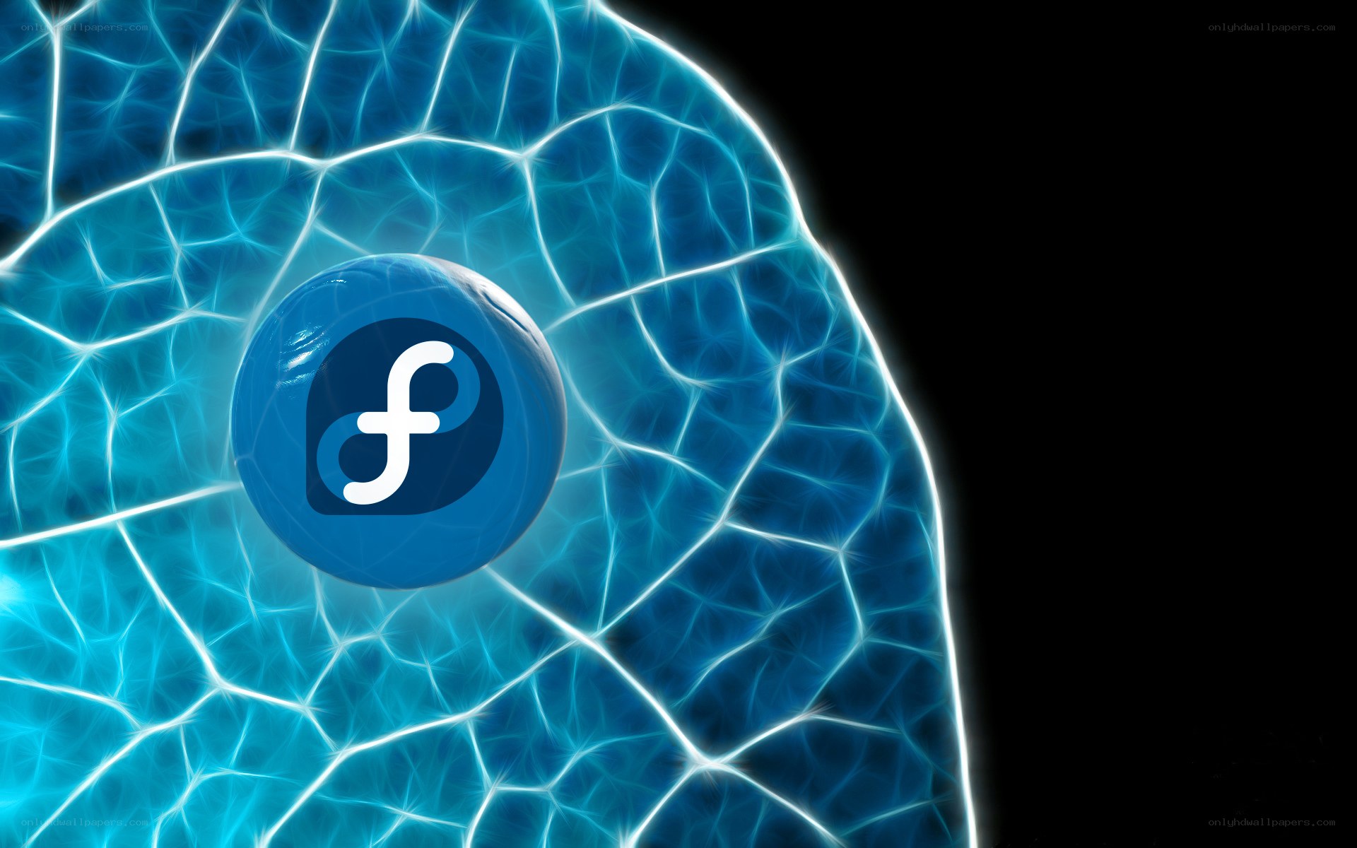 Firefox logo on blue network