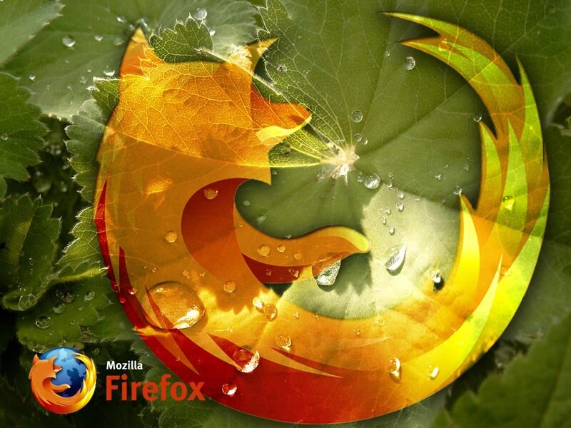 Firefox logo on leaf