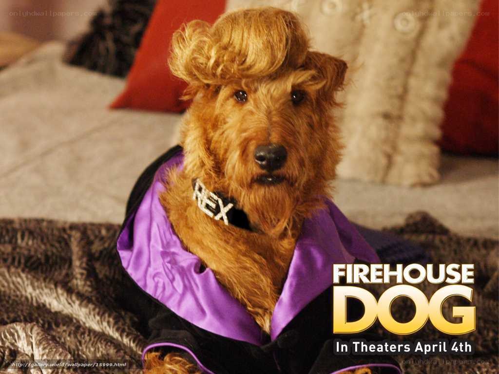 Firehouse Dog movie poster