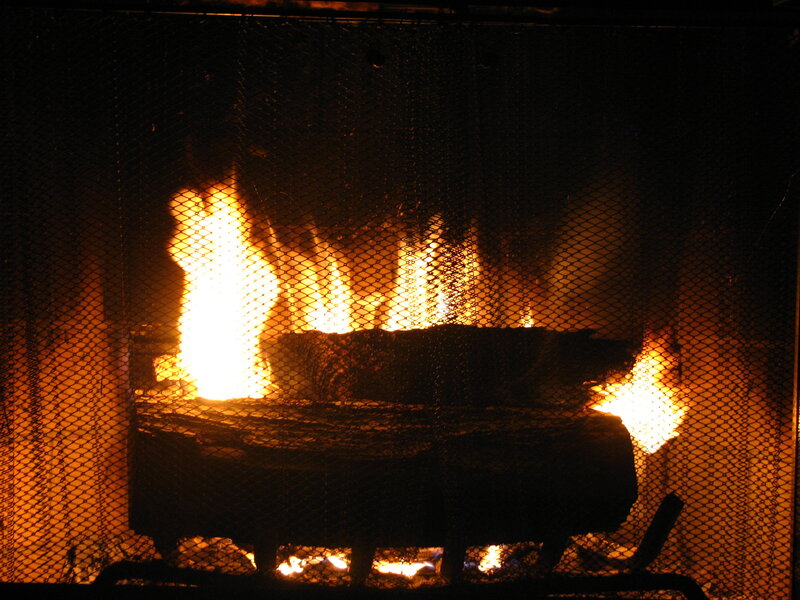 Fireplace with Burning Logs — Orange