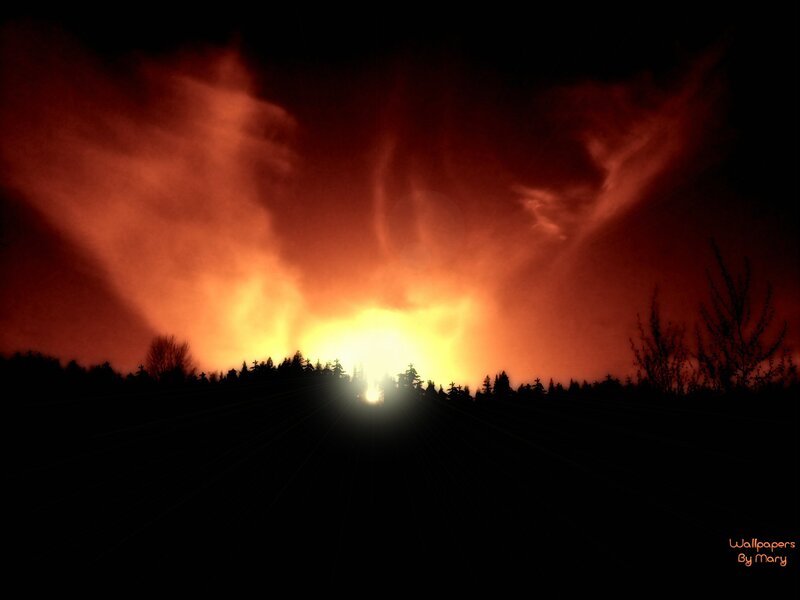 Firestorm over Forest