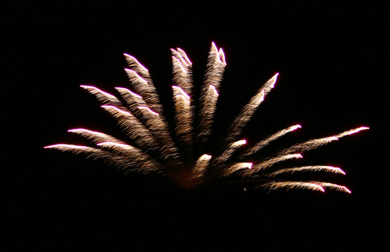 Firework Burst in Night Sky