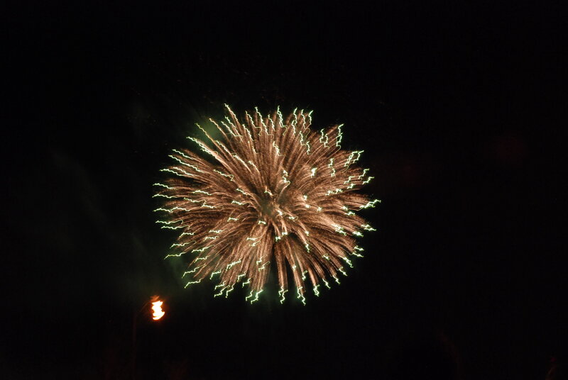 Firework Explosion — Black, Dramatic, Night