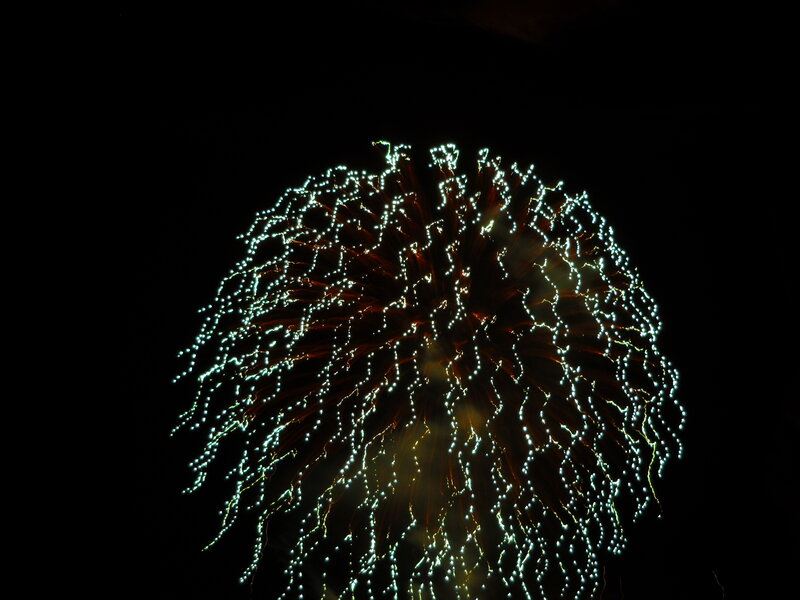 Firework Explosion — Black, Dramatic
