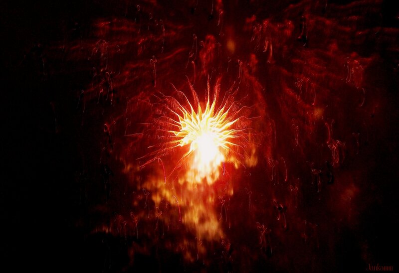 Firework Explosion — Red, Dramatic, Night, Digital Art