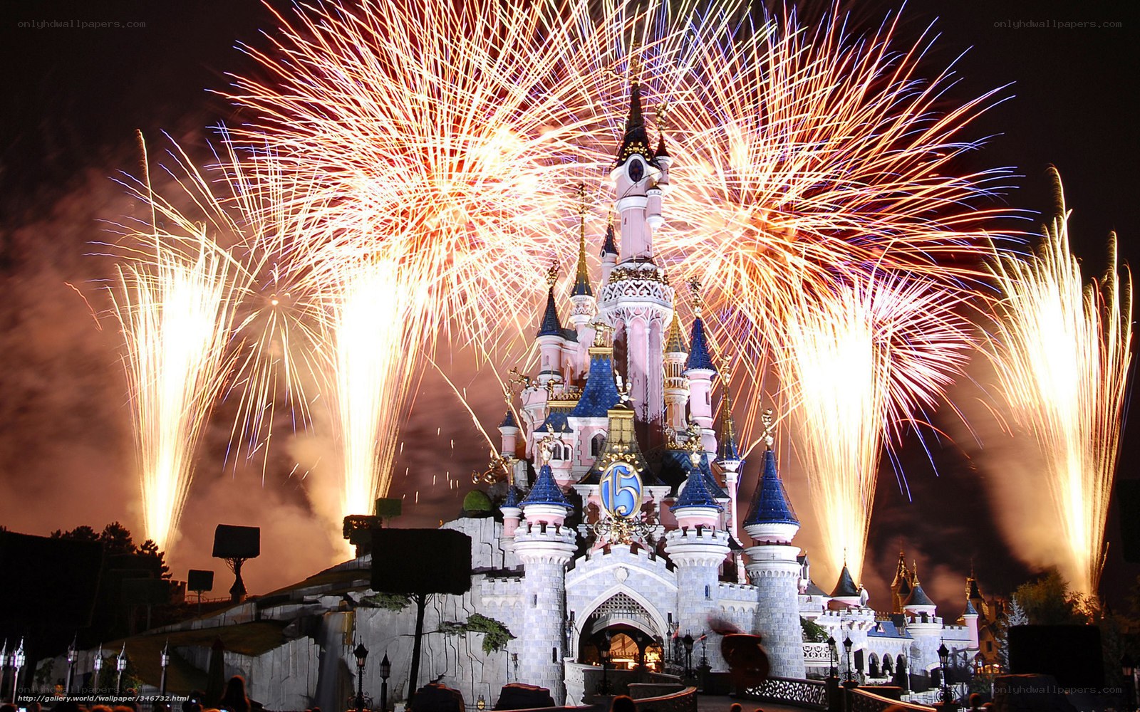 Fireworks at Disneyland Castle