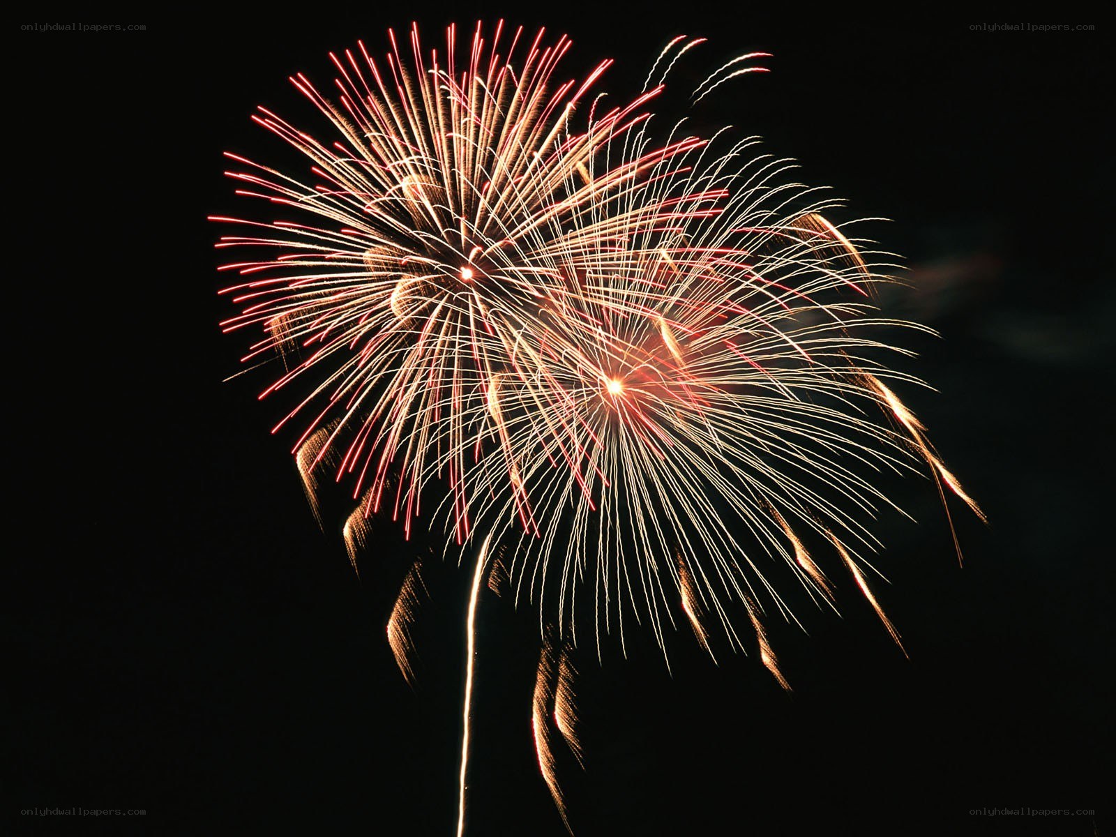 Fireworks display at night