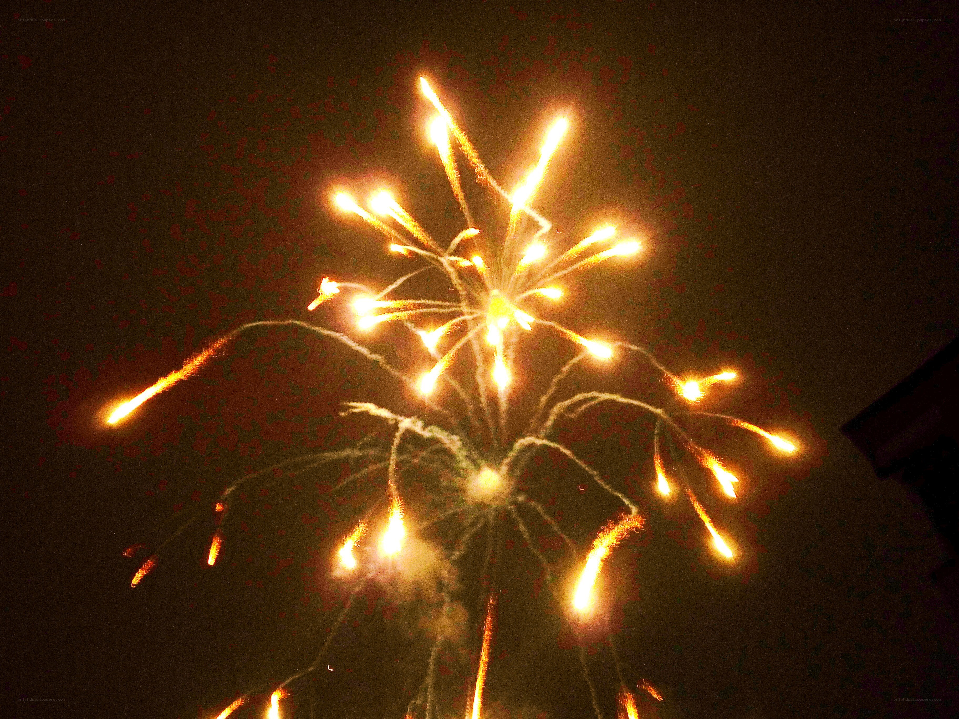 Fireworks display at night