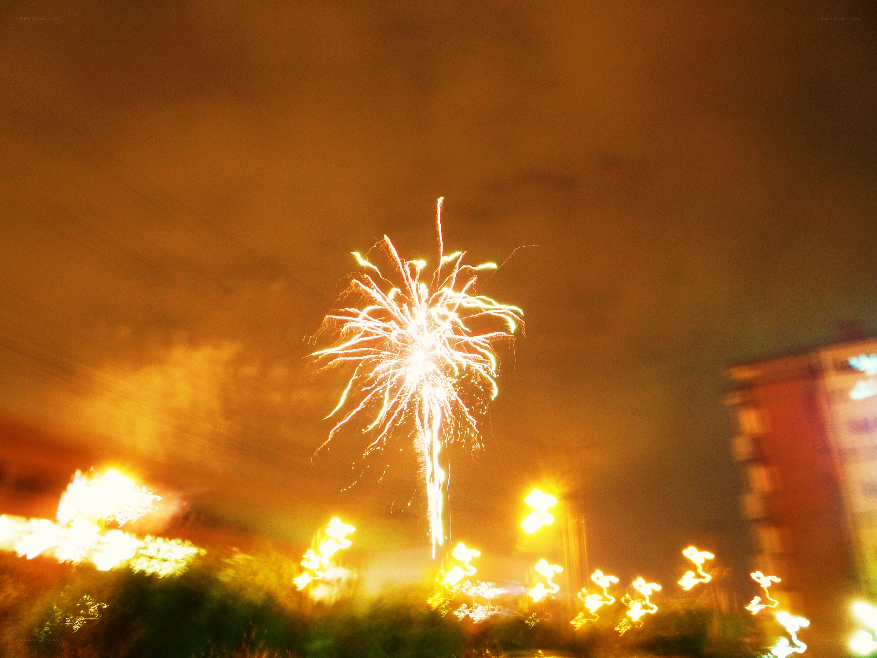 Fireworks display at night