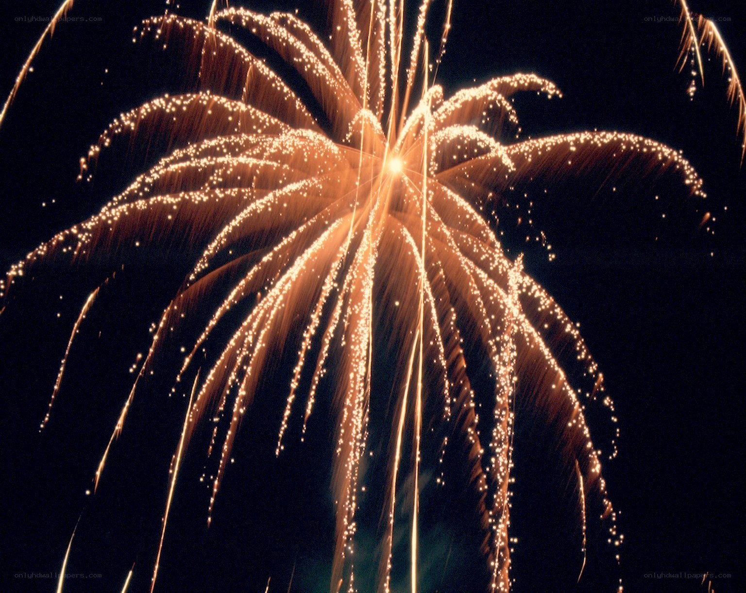 Fireworks display at night