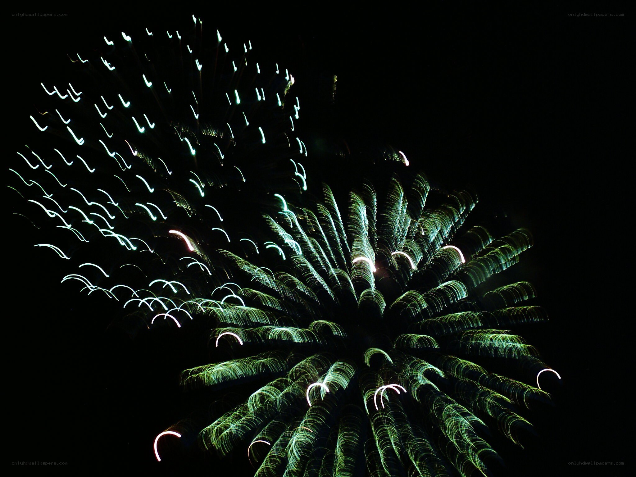 Fireworks display at night