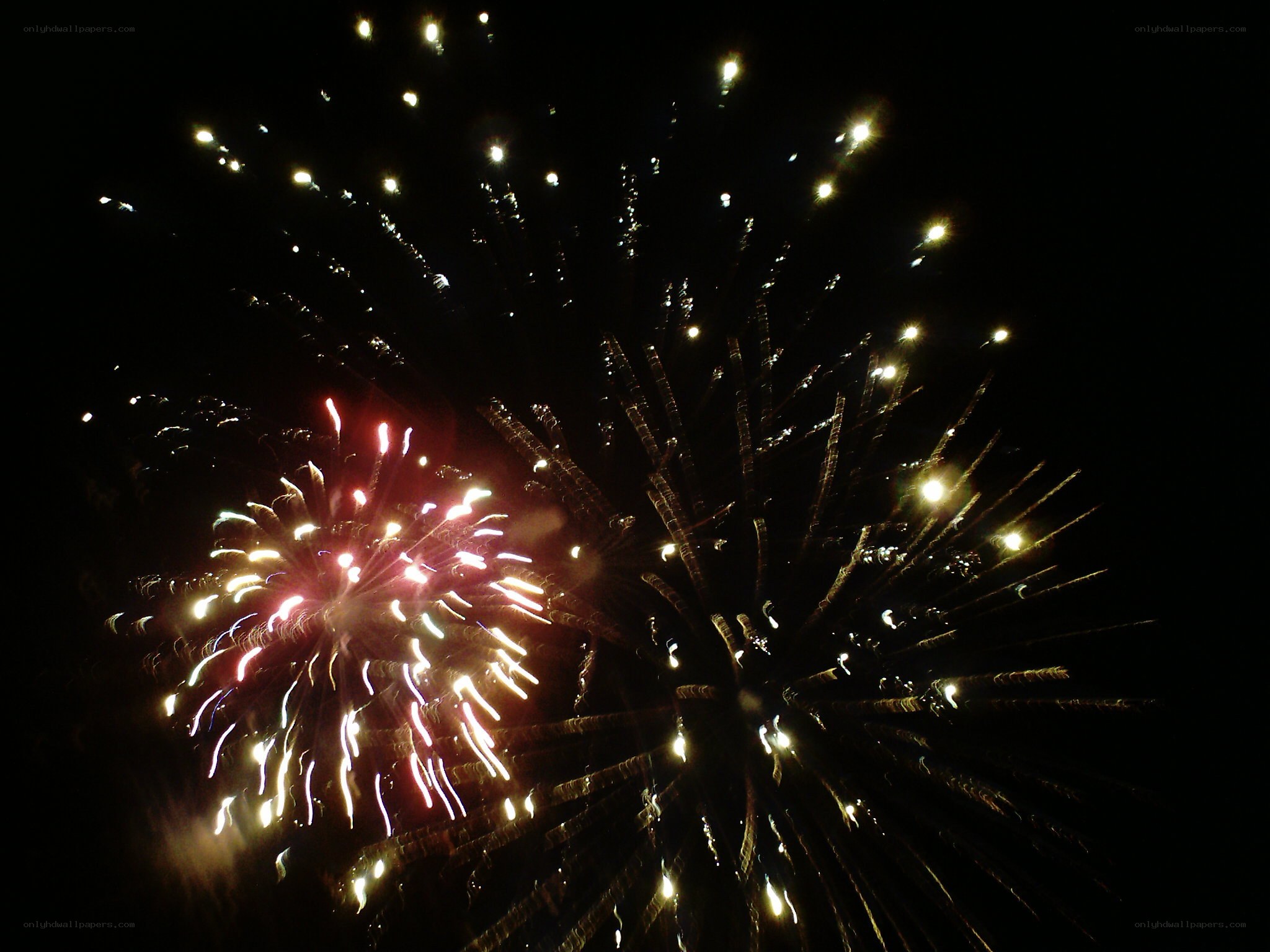 Fireworks display at night