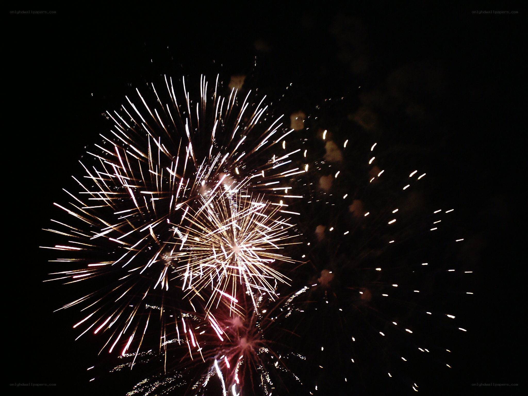 Fireworks display at night