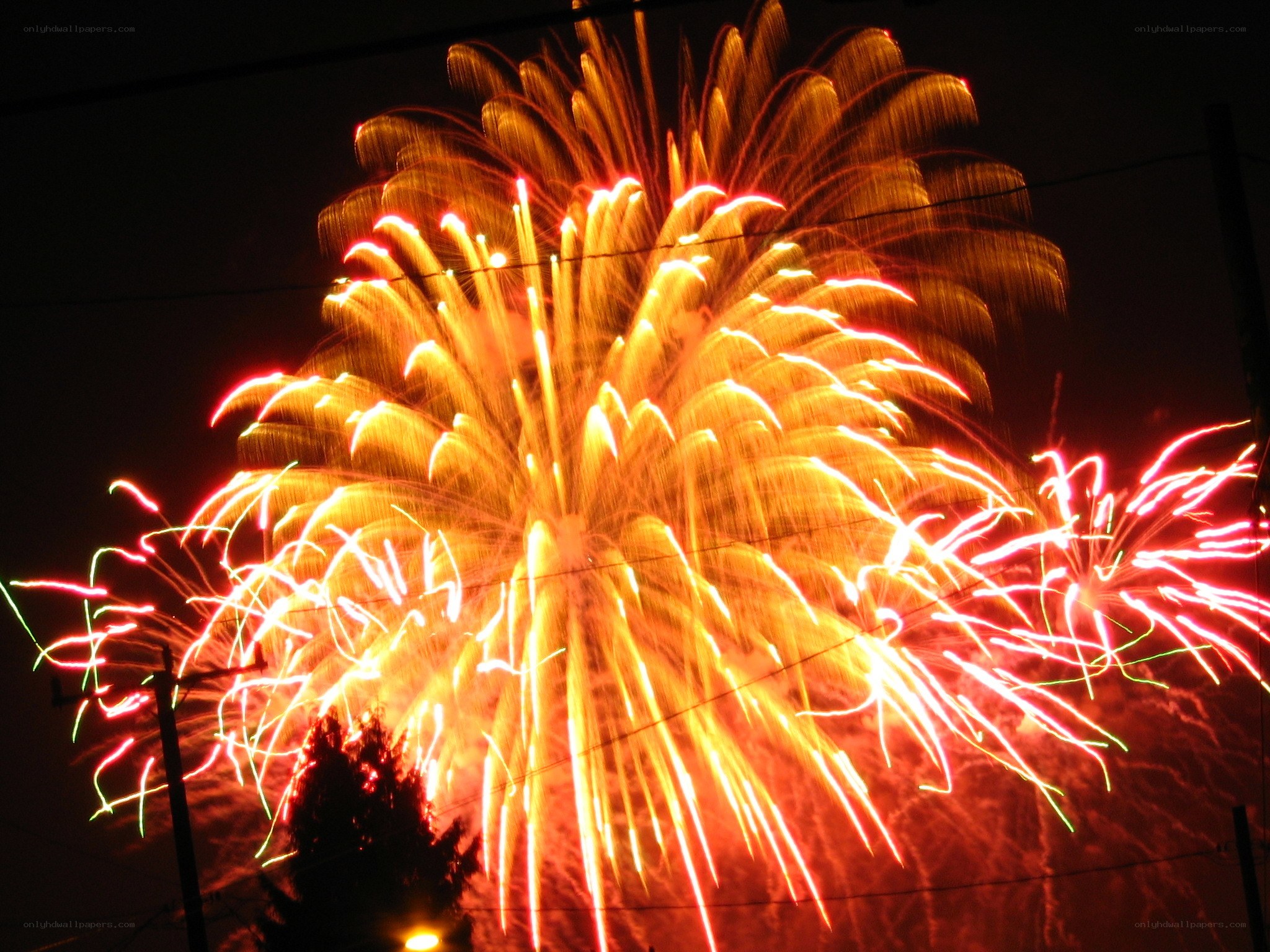 Fireworks display at night
