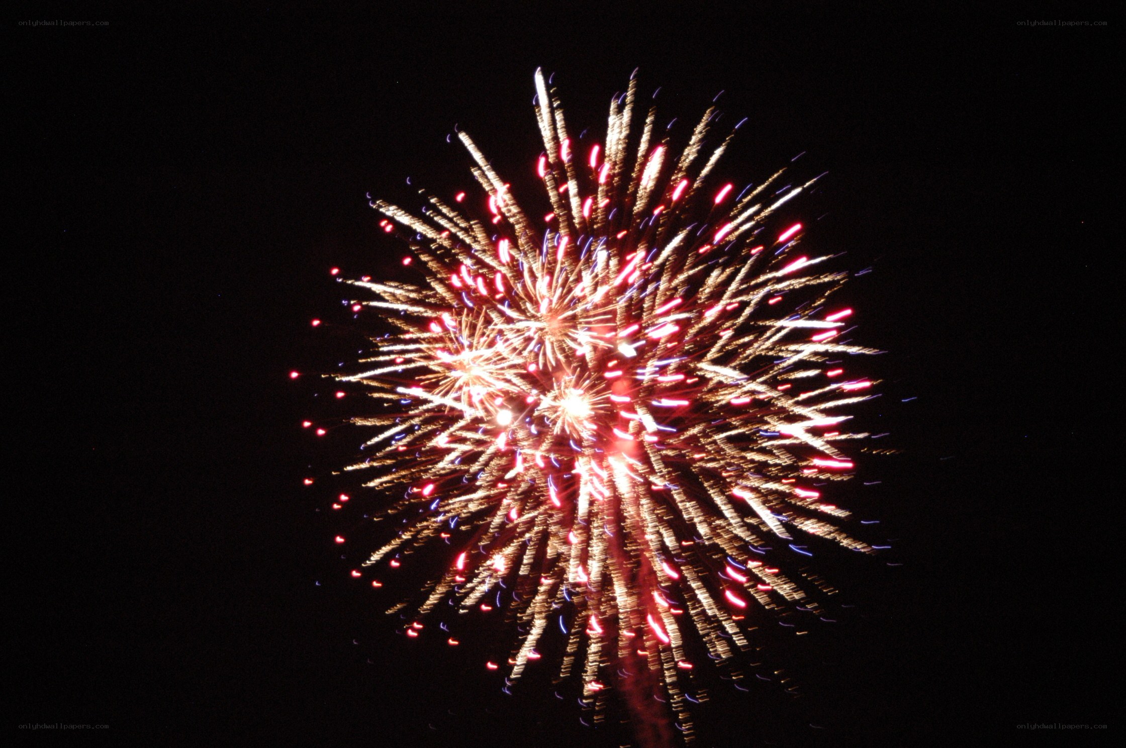 Fireworks display at night