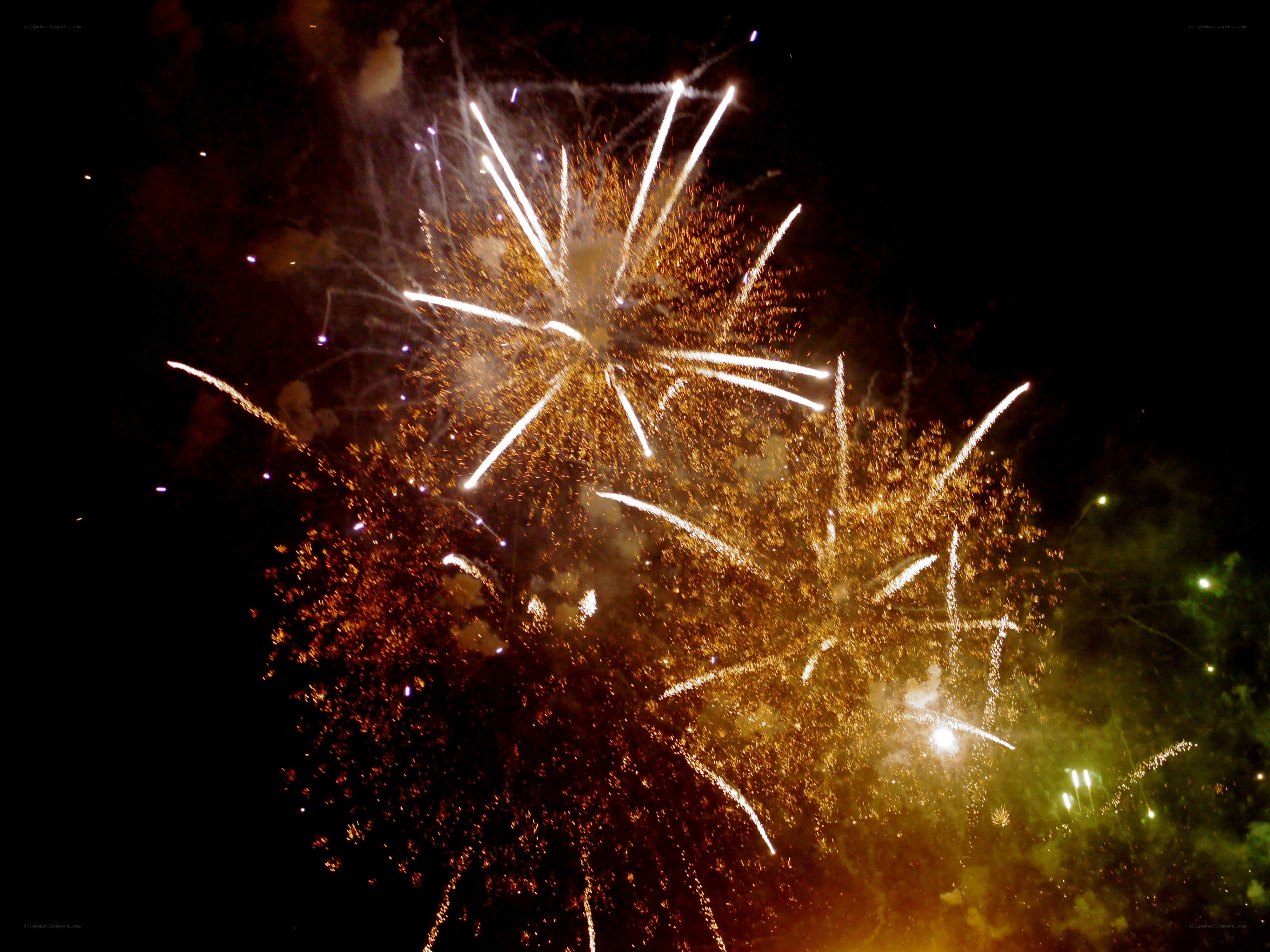 Fireworks display at night