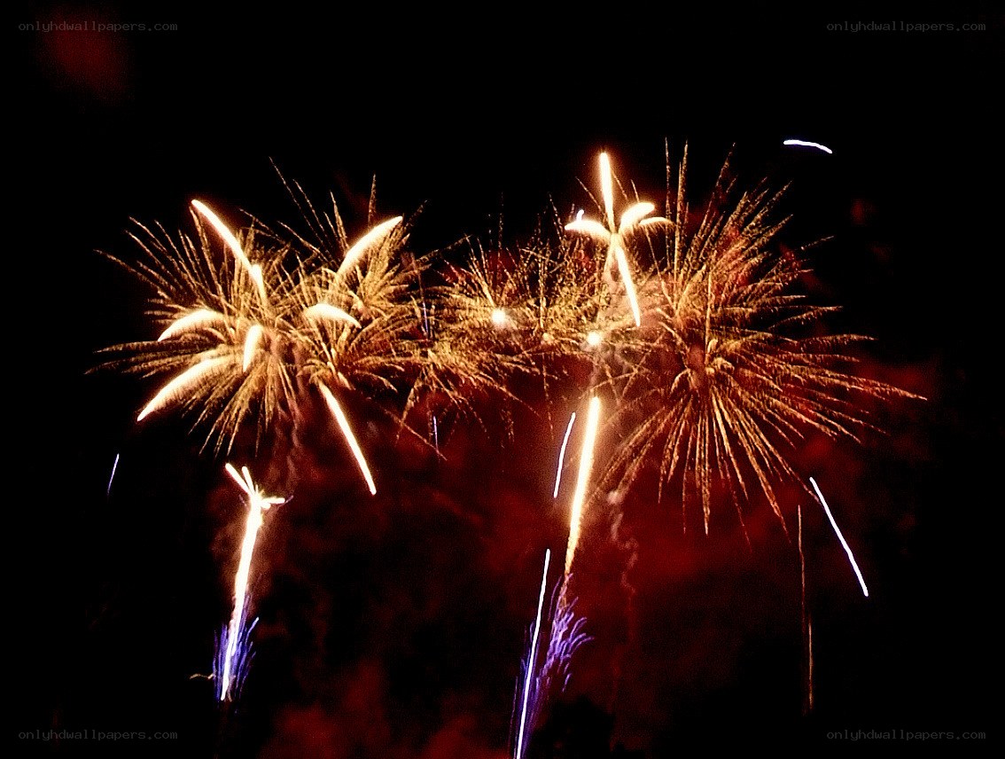 Fireworks display at night