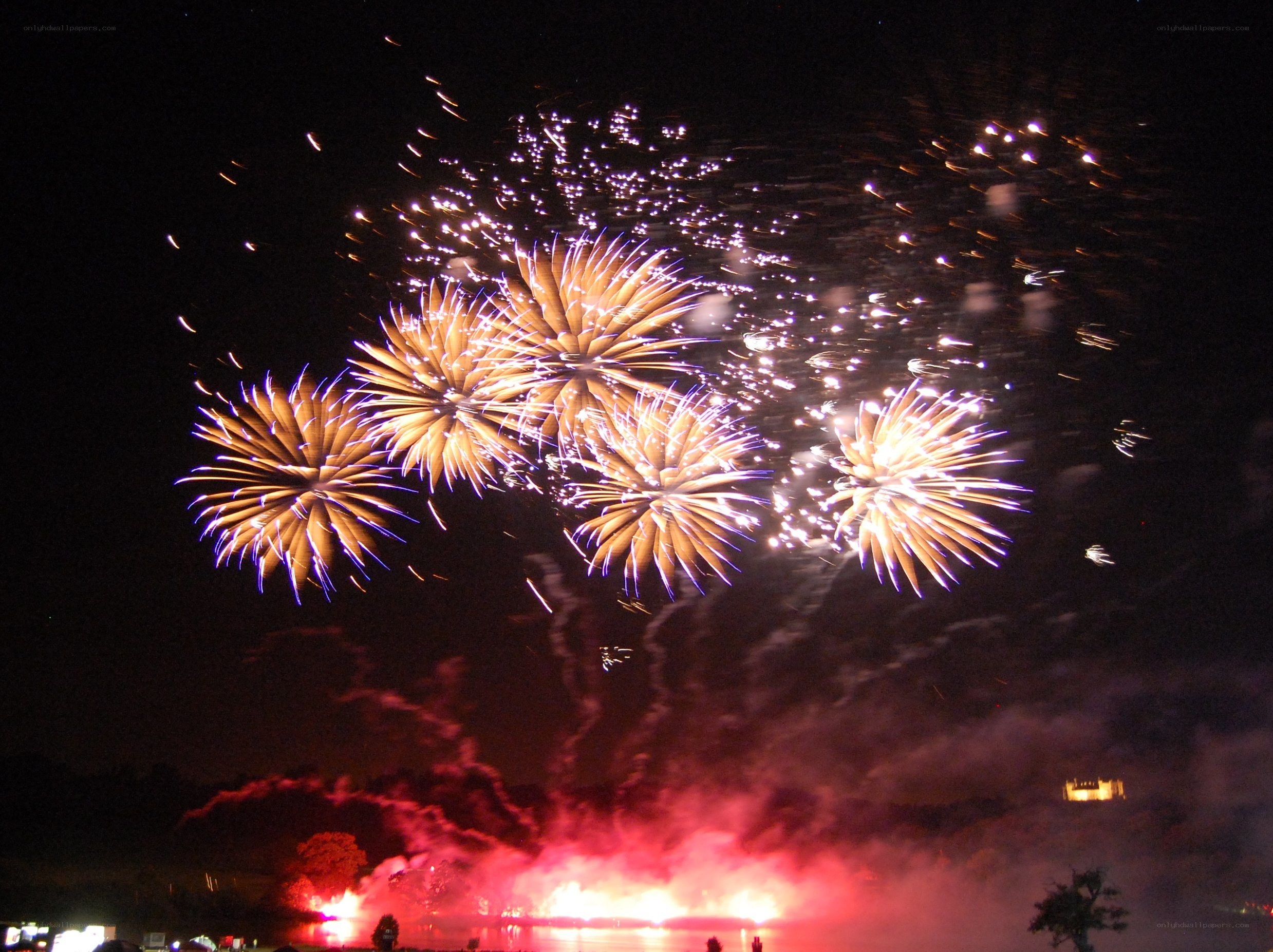 Fireworks display at night