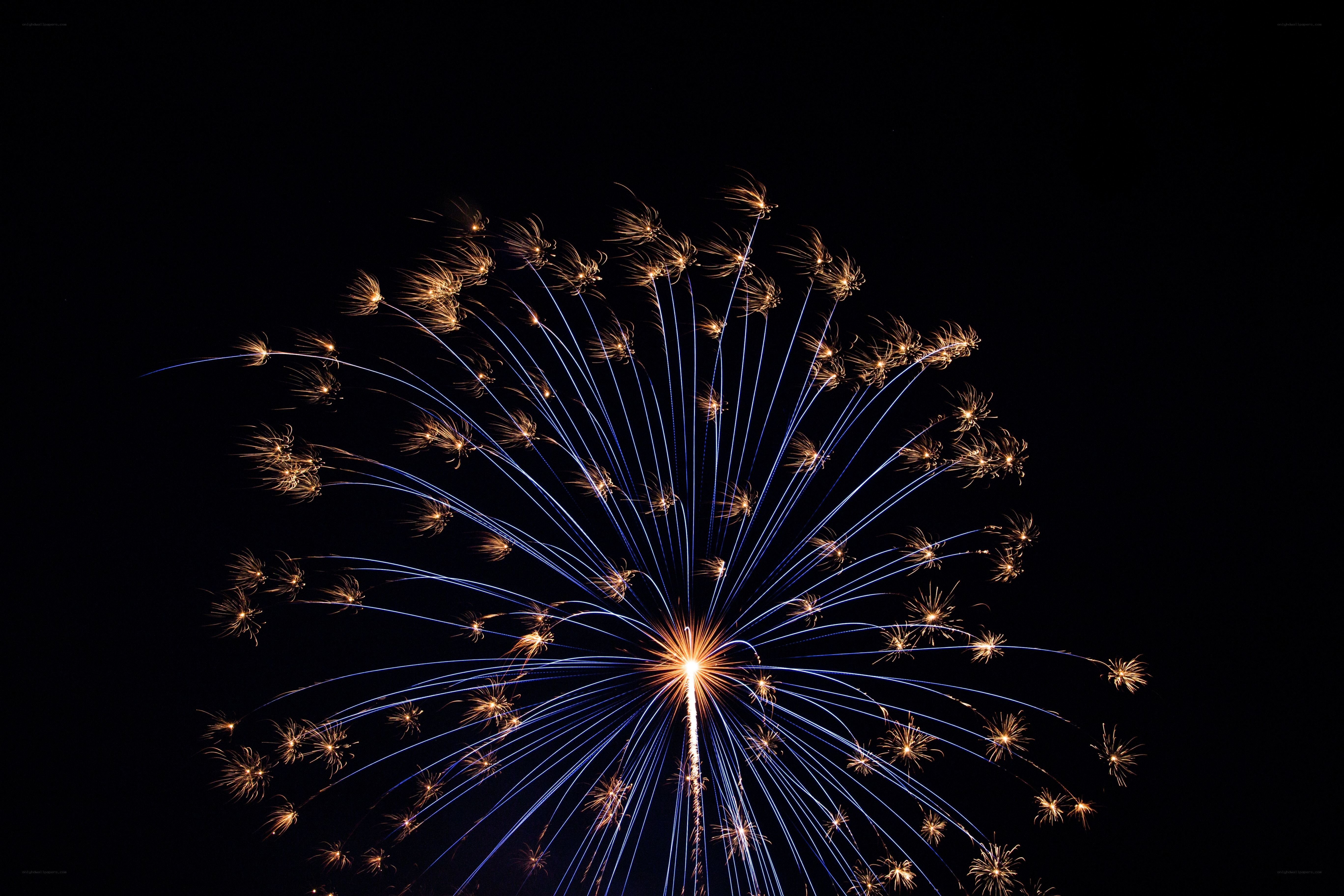 Fireworks display at night