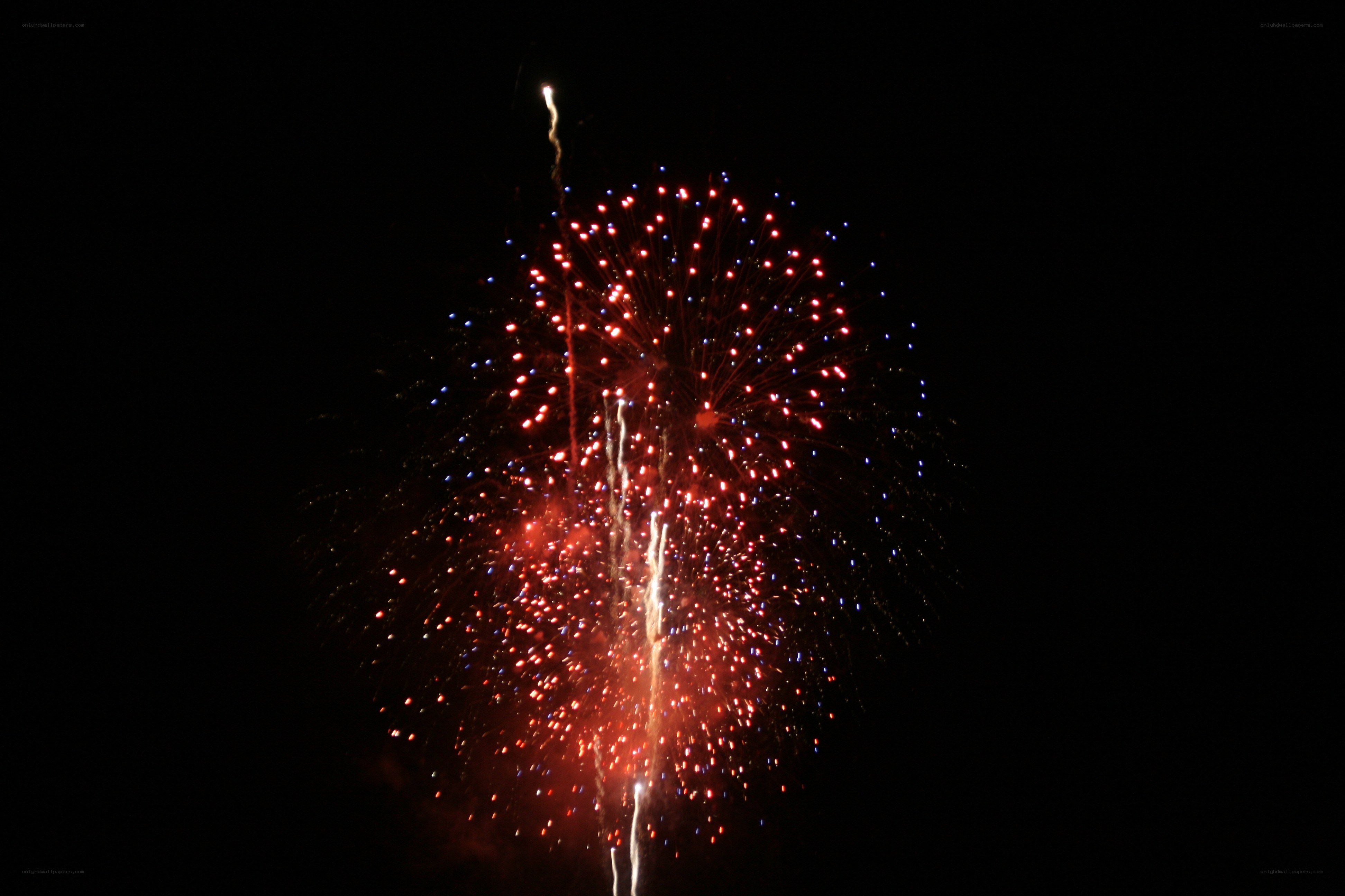 Fireworks display at night