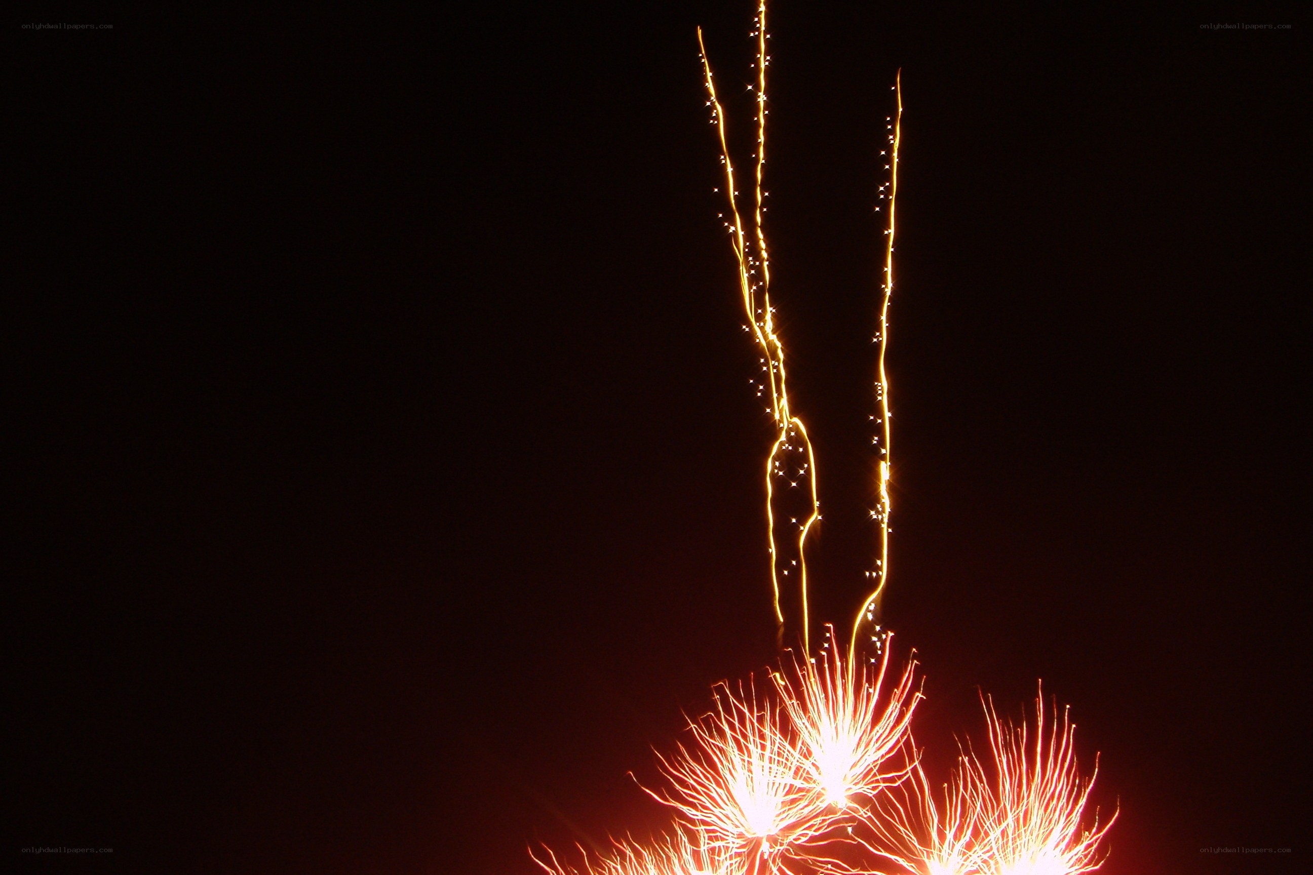 Fireworks display at night