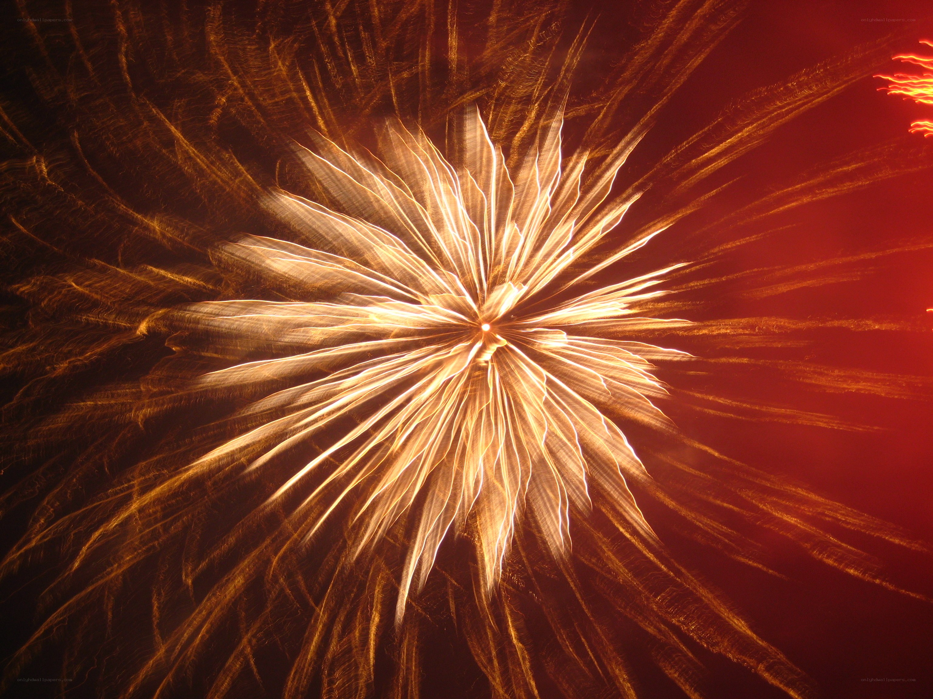 Fireworks display at night