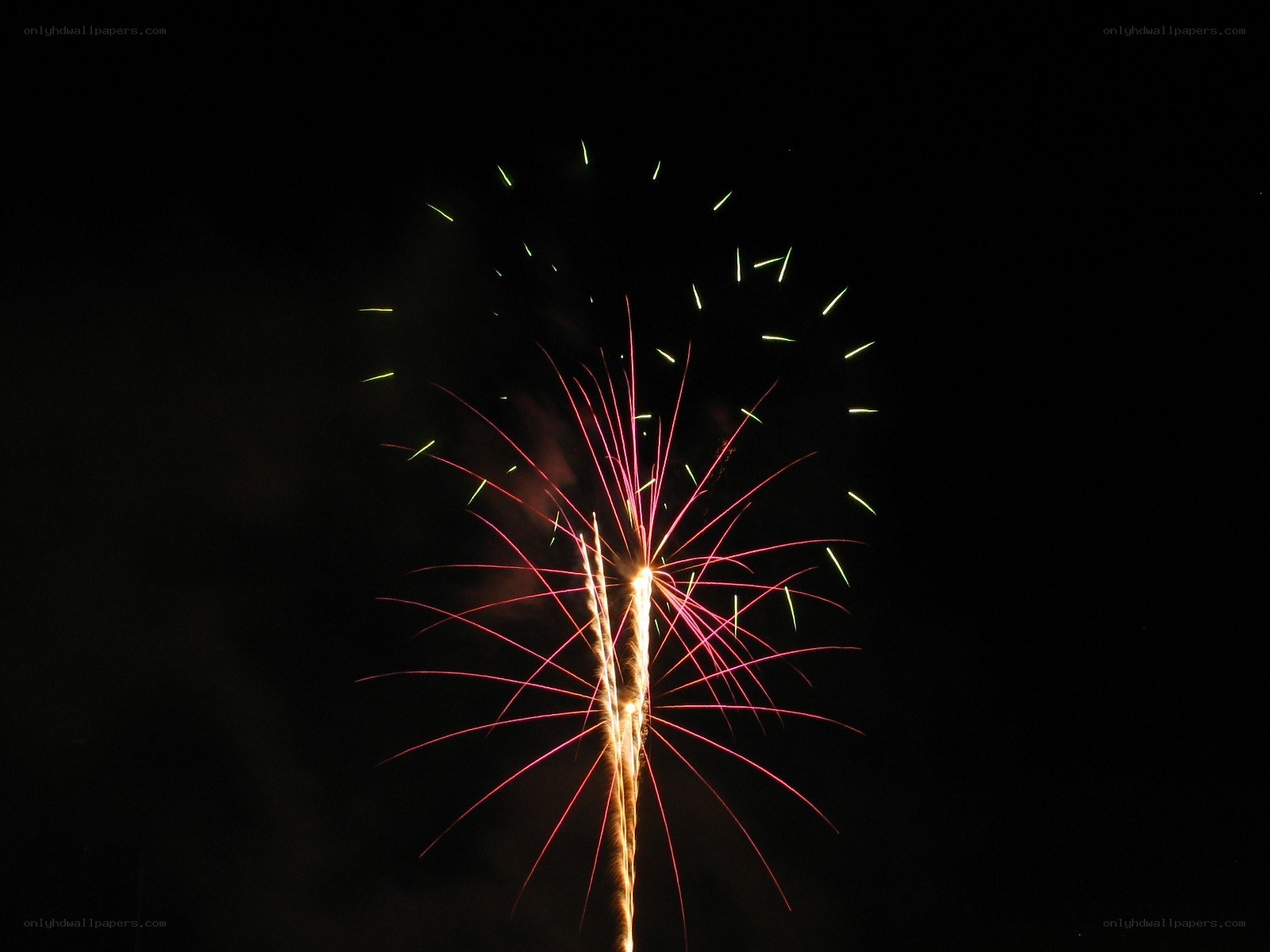 Fireworks display at night
