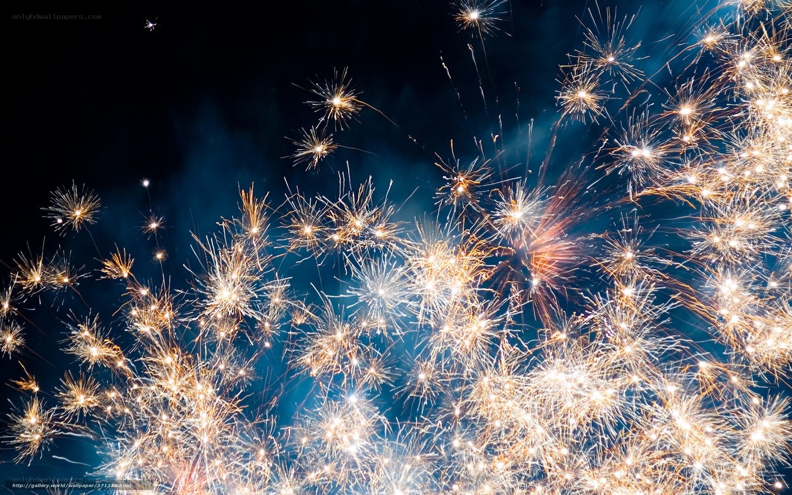 Fireworks display at night