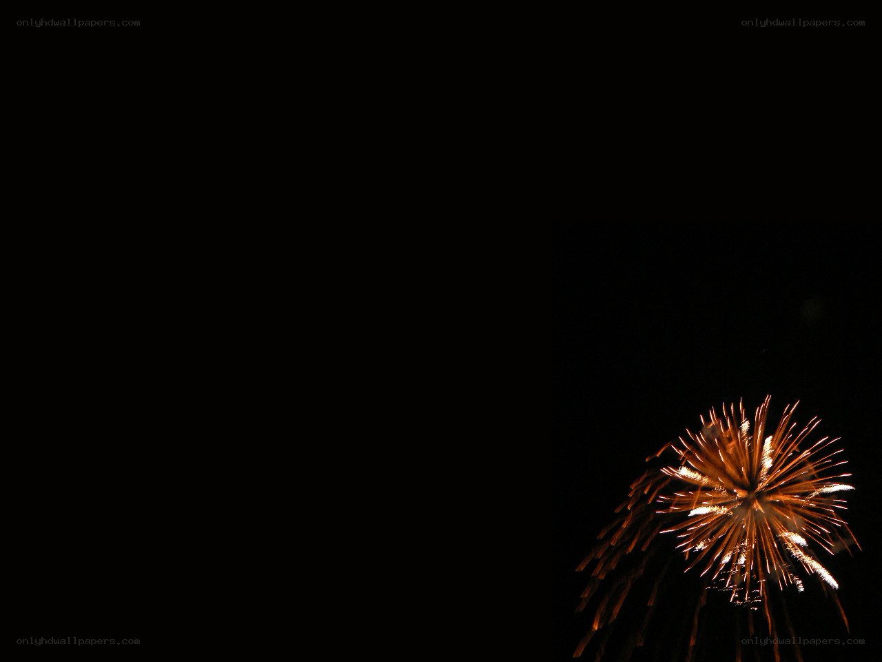 Fireworks display at night