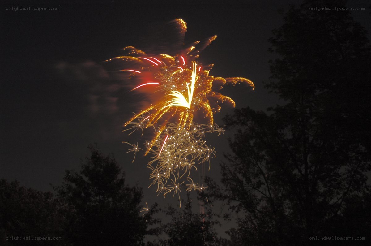 Fireworks display at night