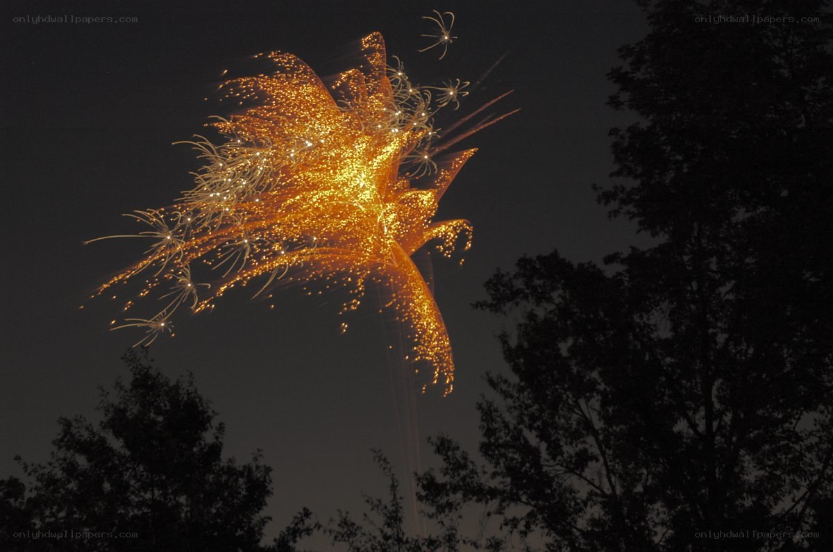 Fireworks display at night