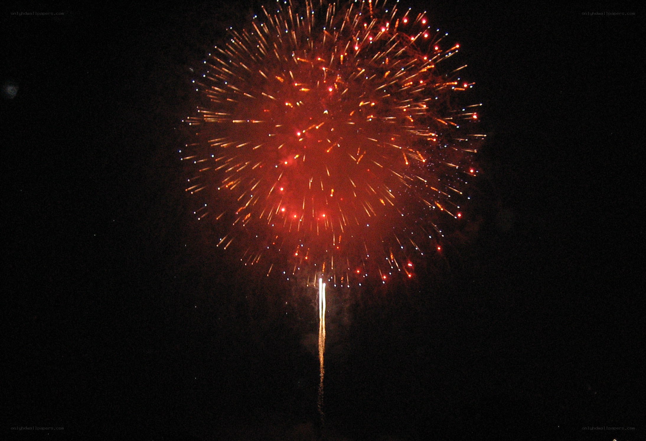 Fireworks display at night