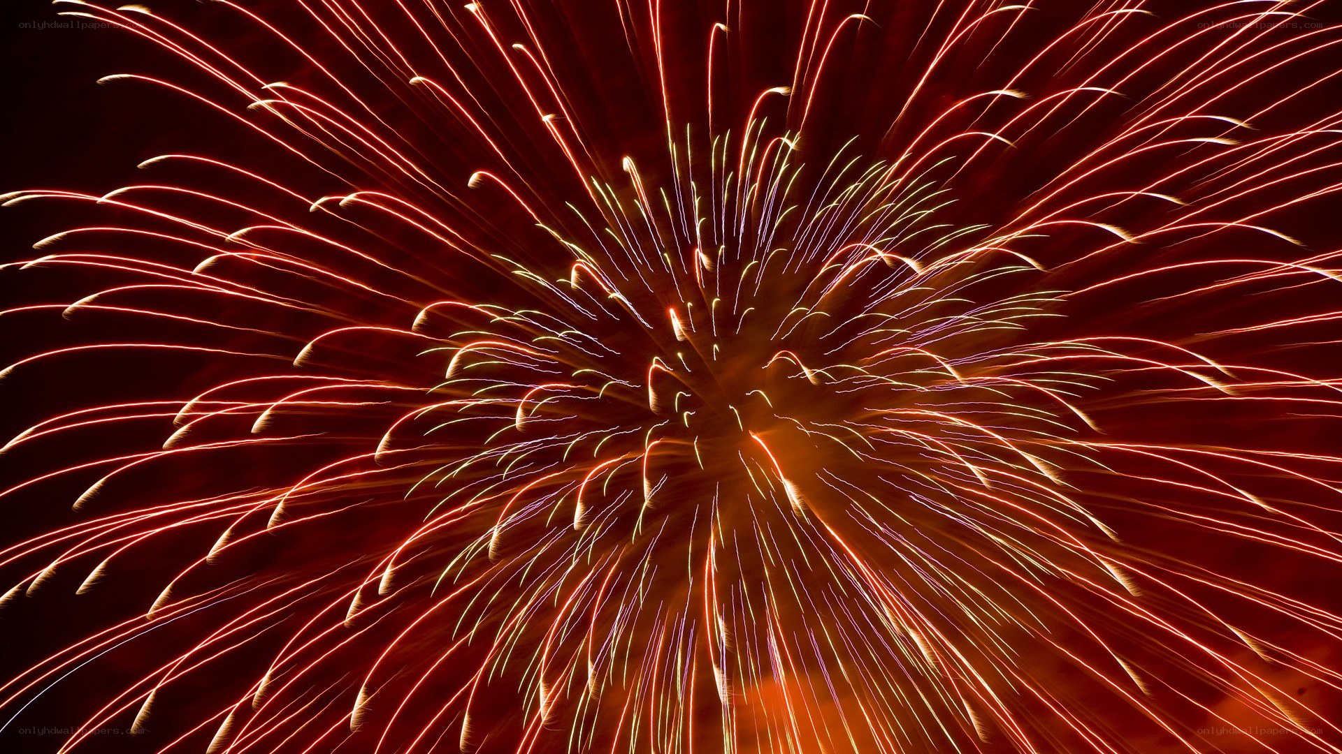 Fireworks display at night