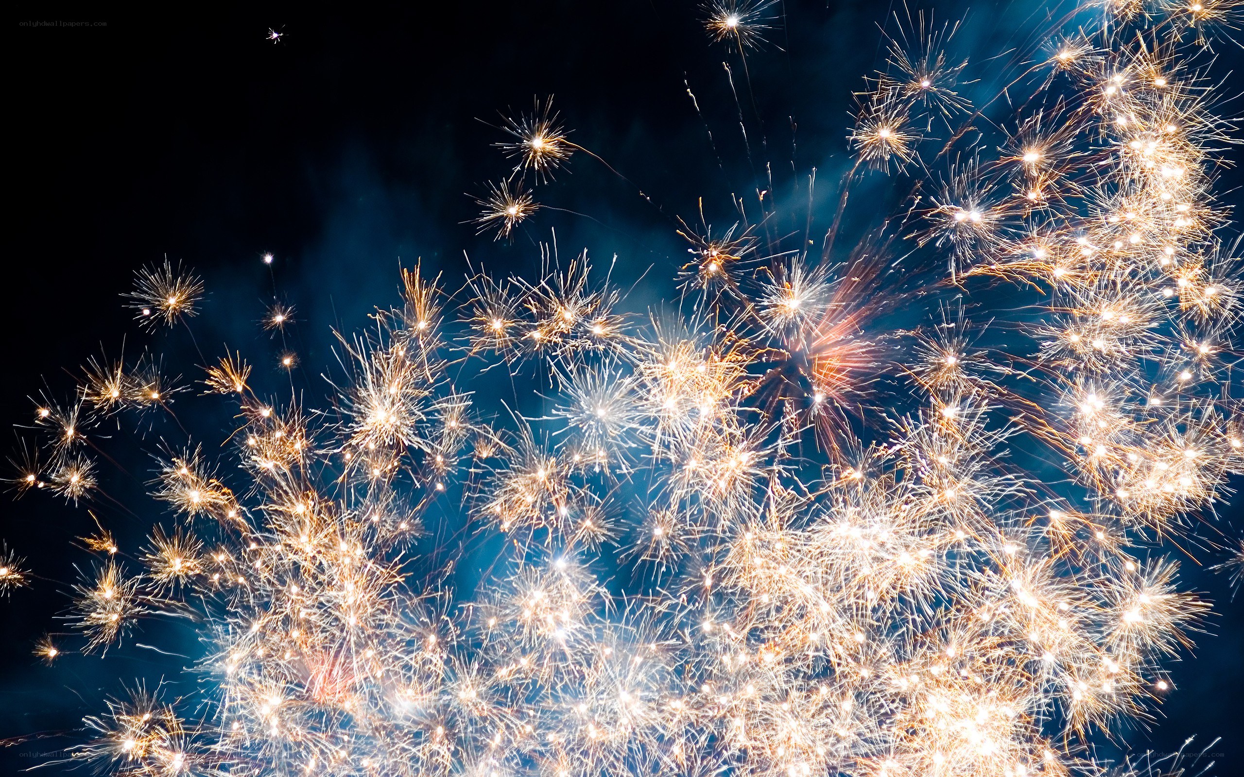 Fireworks display at night
